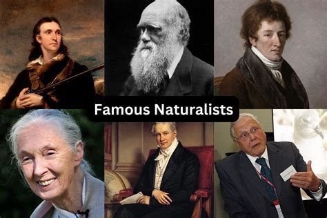 naturalist thesaurus|famous people who are naturalists.